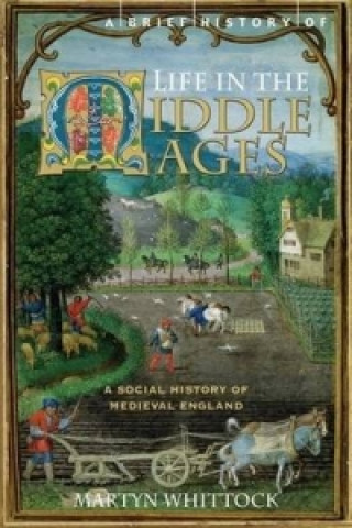 Könyv Brief History of Life in the Middle Ages Martyn Whittock