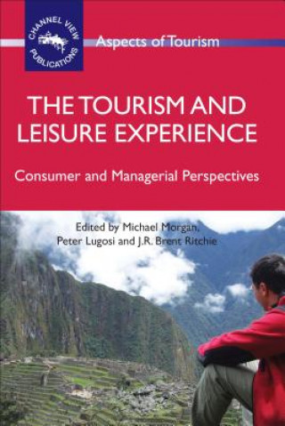 Könyv Tourism and Leisure Experience Michael Morgan