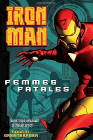 Book Iron Man Robert Greenberger