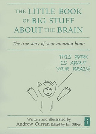 Kniha Little Book of Big Stuff about the Brain Andrew Curran