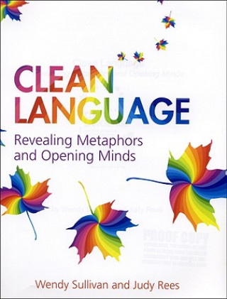 Kniha Clean Language Wendy Sullivan