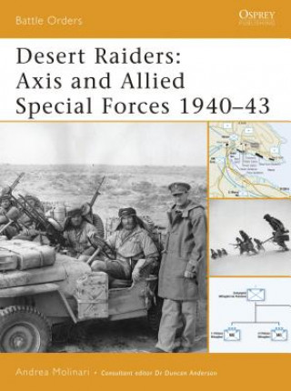 Buch Desert Raiders Andrea Molinari