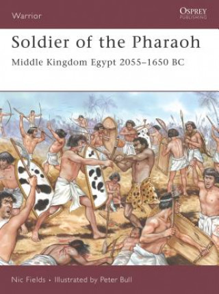 Knjiga Soldier of the Pharaoh Nic Fields