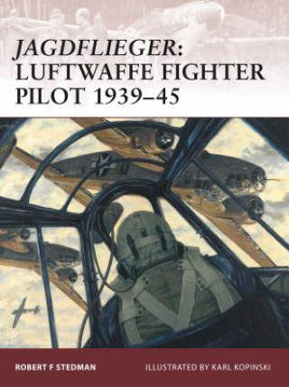 Buch Jagdflieger Robert F Stedman