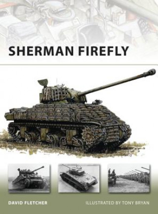 Könyv Sherman Firefly David Fletcher