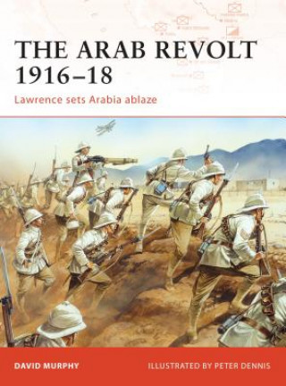 Книга Arab Revolt 1916-18 David Murphy