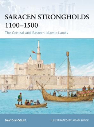 Carte Saracen Strongholds 1100-1500 David Nicolle