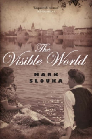 Kniha Visible World Mark Slouka