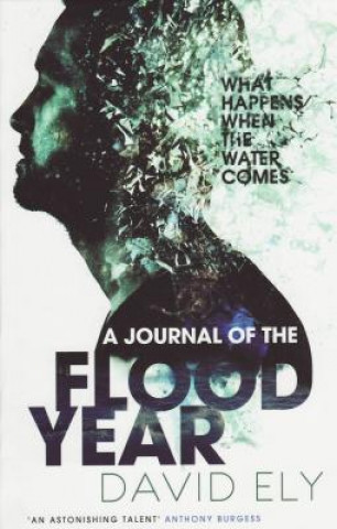 Buch Journal Of The Flood Year David Ely