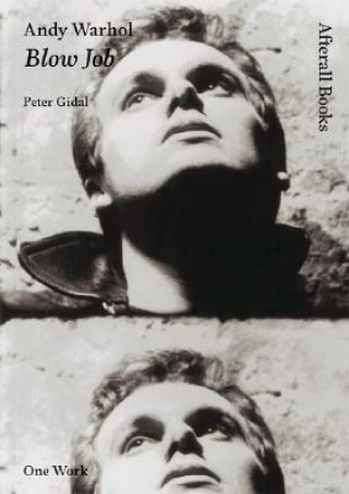 Książka Andy Warhol Peter Gidal