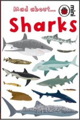 Könyv Mad About Sharks 