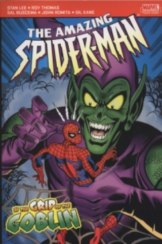 Könyv Amazing Spider-Man STAN