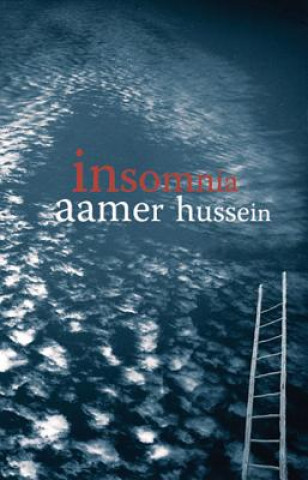 Book Insomnia Aamer Hussein