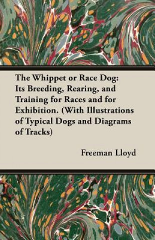 Carte Whippet or Race Dog Freeman Lloyd