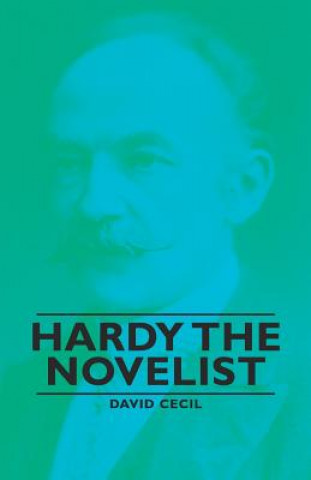 Kniha Hardy The Novelist David Cecil