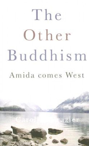 Kniha Other Buddhism Caroline Brazier