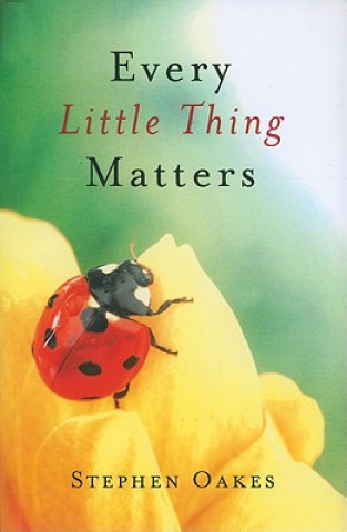 Kniha Every Little Thing Matters Stephen Oakes