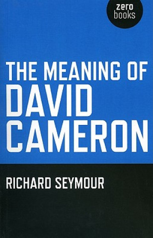 Könyv Meaning of David Cameron Richard Seymour