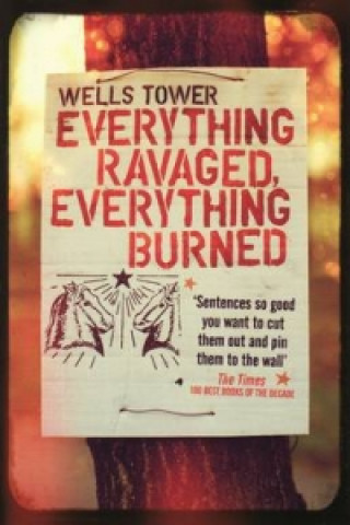 Könyv Everything Ravaged, Everything Burned Wells Tower