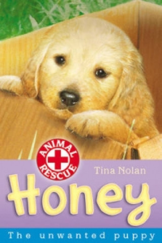 Książka Honey Tina Nolan