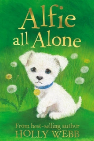 Könyv Alfie All Alone Holly Webb