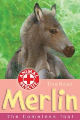 Książka Merlin Tina Nolan