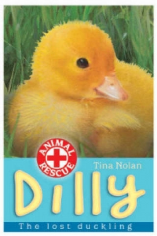 Kniha Dilly Tina Nolan