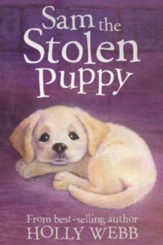 Könyv Sam the Stolen Puppy Holly Webb