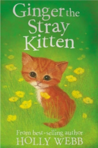 Kniha Ginger the Stray Kitten Holly Webb