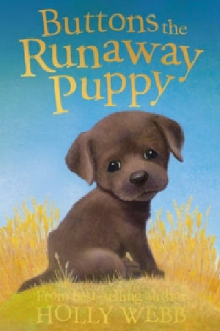Książka Buttons the Runaway Puppy Holly Webb