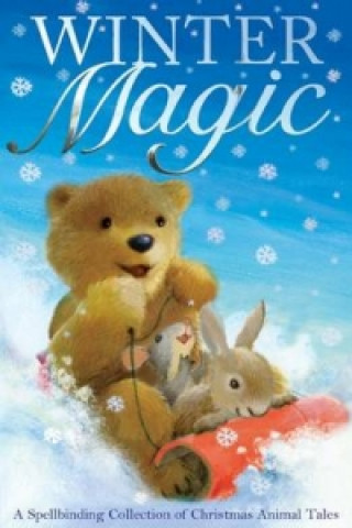 Kniha Winter Magic Alison Edgson
