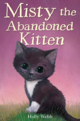 Kniha Misty the Abandoned Kitten Holly Webb