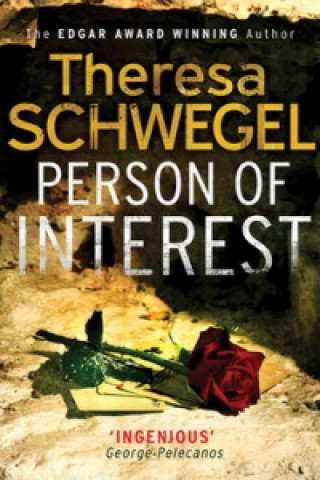 Kniha Person of Interest Theresa Schwegel