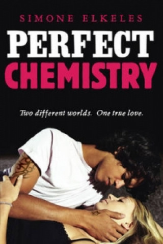 Kniha Perfect Chemistry Simone Elkeles