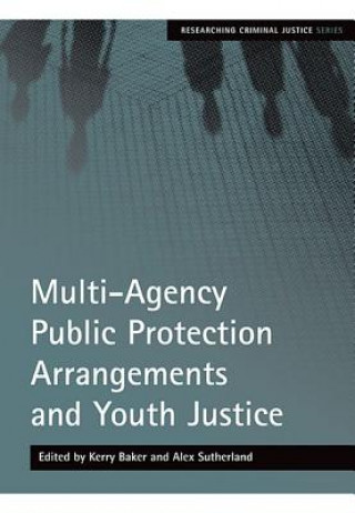 Kniha Multi-Agency Public Protection Arrangements and Youth Justice Baker