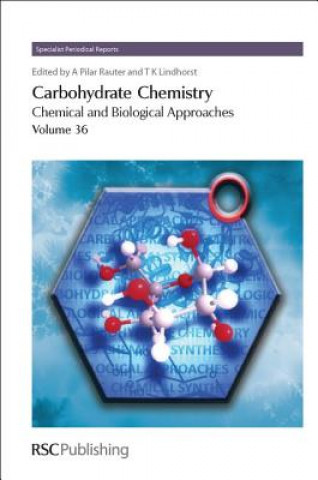 Kniha Carbohydrate Chemistry Amelia Pilar Rauter