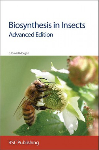 Kniha Biosynthesis in Insects David Morgan