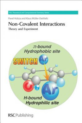 Książka Non-Covalent Interactions Pavel Hobza