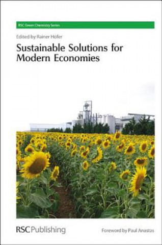 Könyv Sustainable Solutions for Modern Economies Rainer Hofer