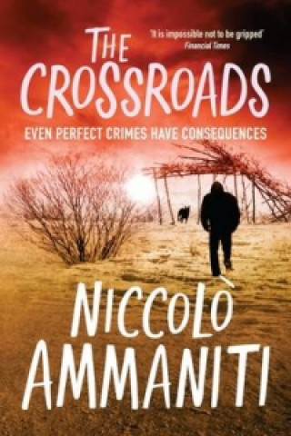 Kniha Crossroads Ammaniti
