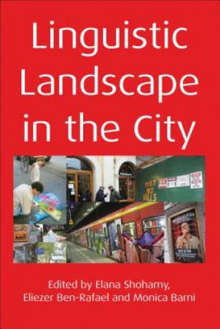 Книга Linguistic Landscape in the City Elana Shohamy