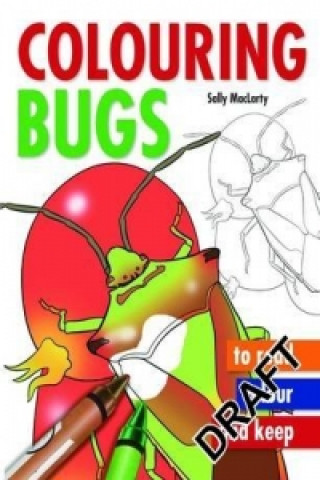 Knjiga Colouring Bugs Sally MacLarty