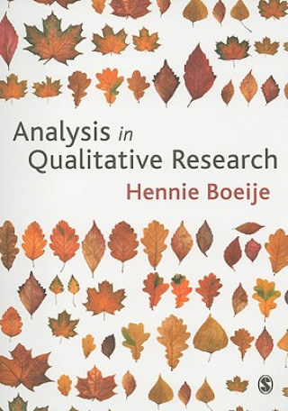 Knjiga Analysis in Qualitative Research Hennie R Boeije