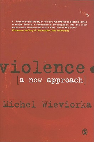 Könyv Violence Michel Wieviorka