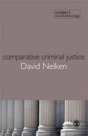 Buch Comparative Criminal Justice David Nelken