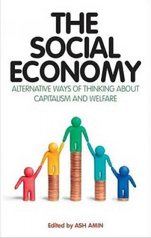 Книга Social Economy Ash Amin