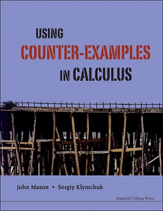 Книга Using Counter-examples In Calculus John Mason