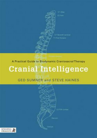 Kniha Cranial Intelligence Steve Haines