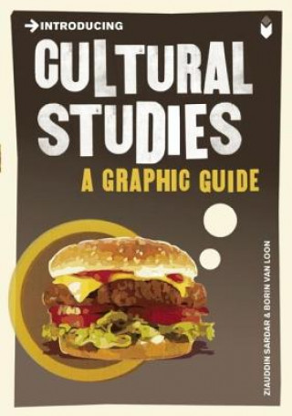 Könyv Introducing Cultural Studies Ziauddin Sardar
