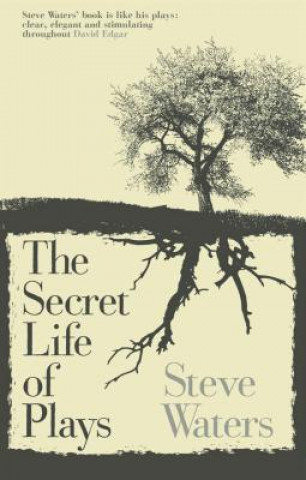 Kniha Secret Life of Plays Steve Waters